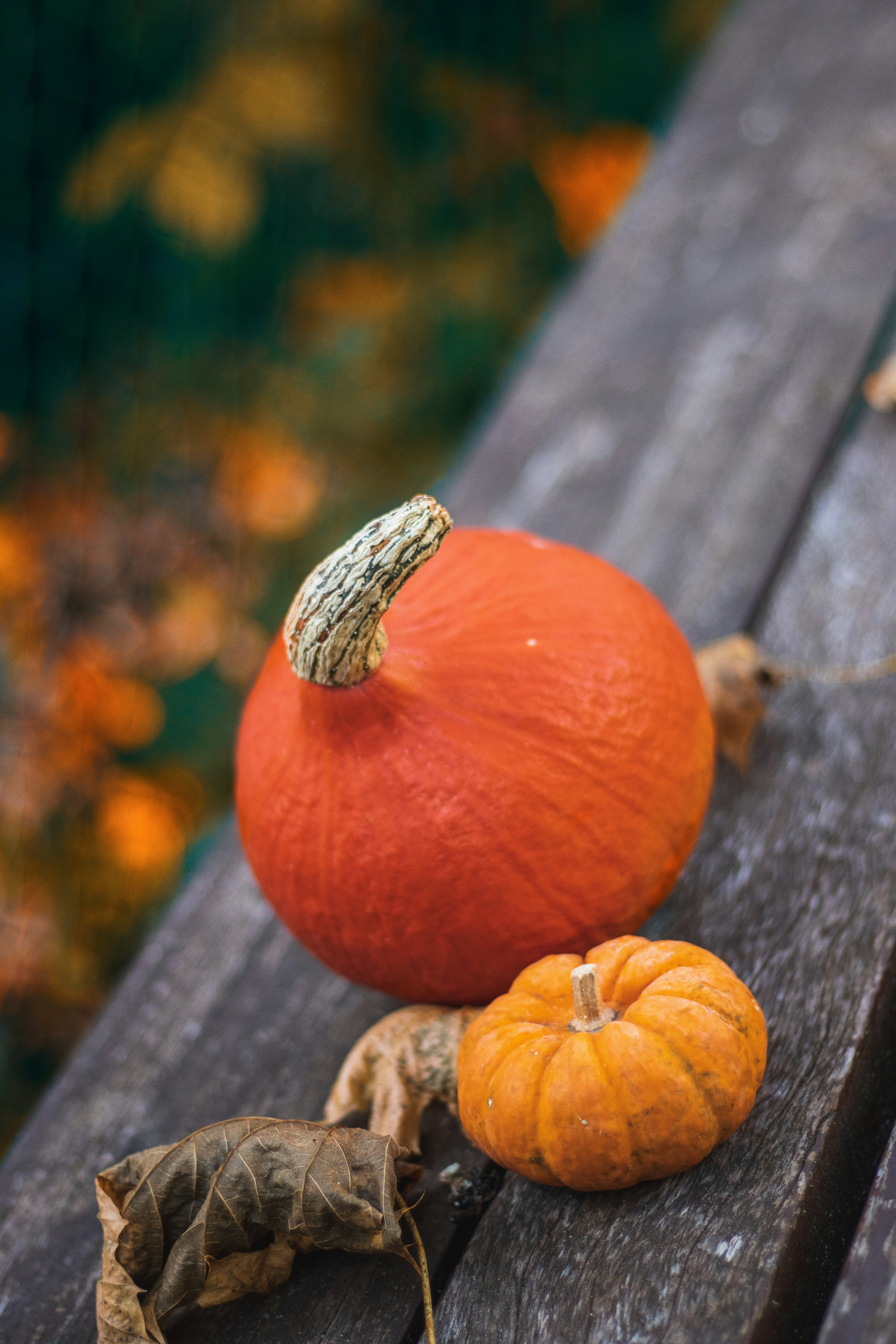 two pumpkins sitting on top of a wooden bench