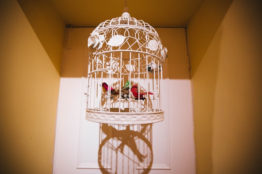 a white birdcage sitting on top of a white door