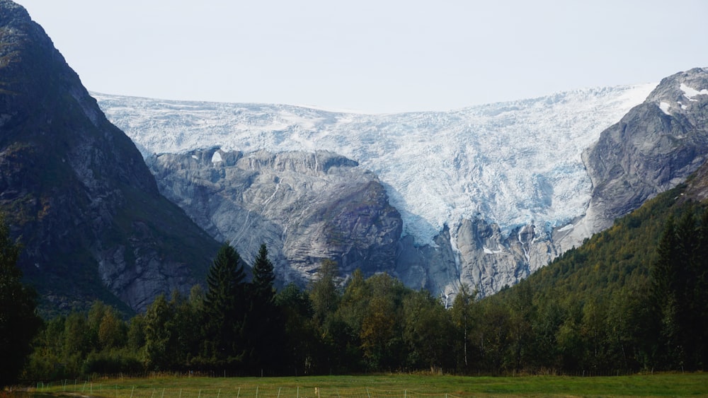 a view of a mountain range with trees in the foreground