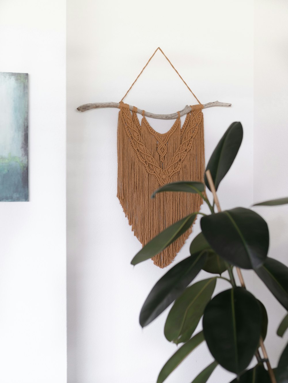a plant and a wall hanging on a wall
