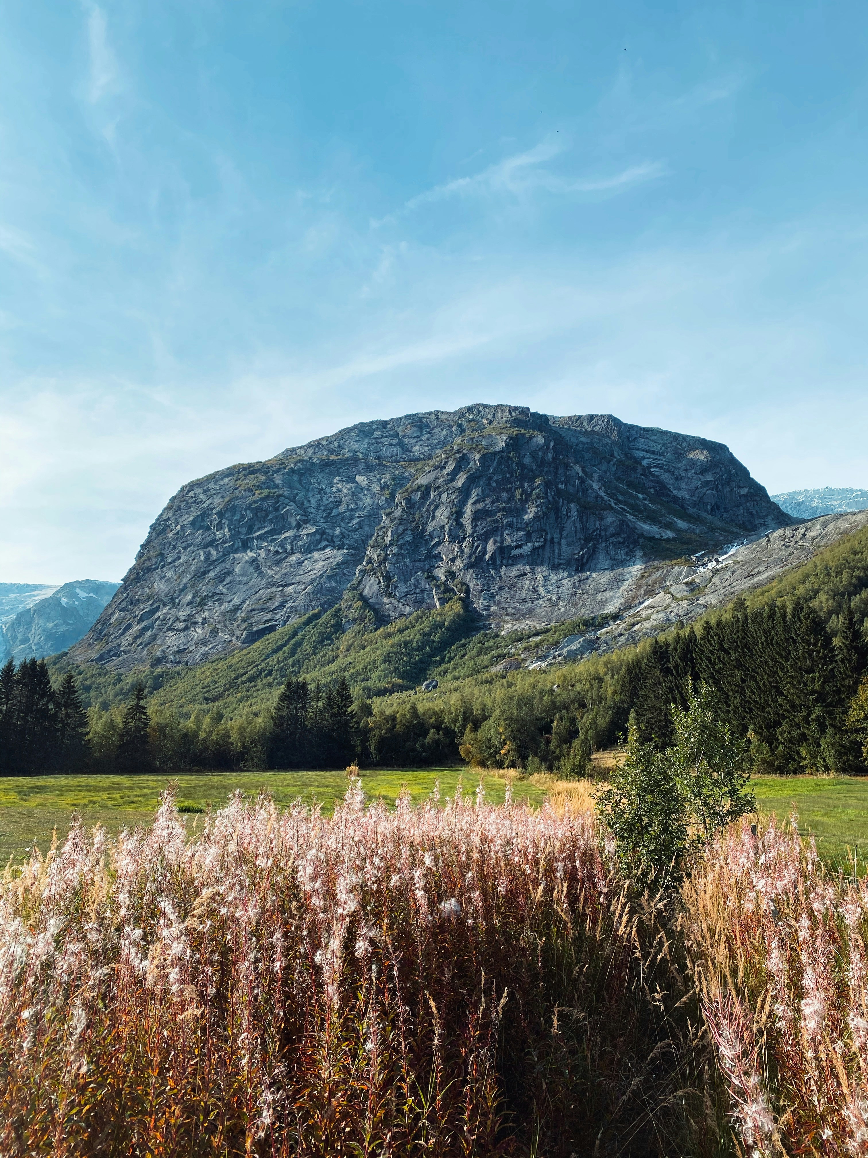 un campo erboso con una montagna sullo sfondo