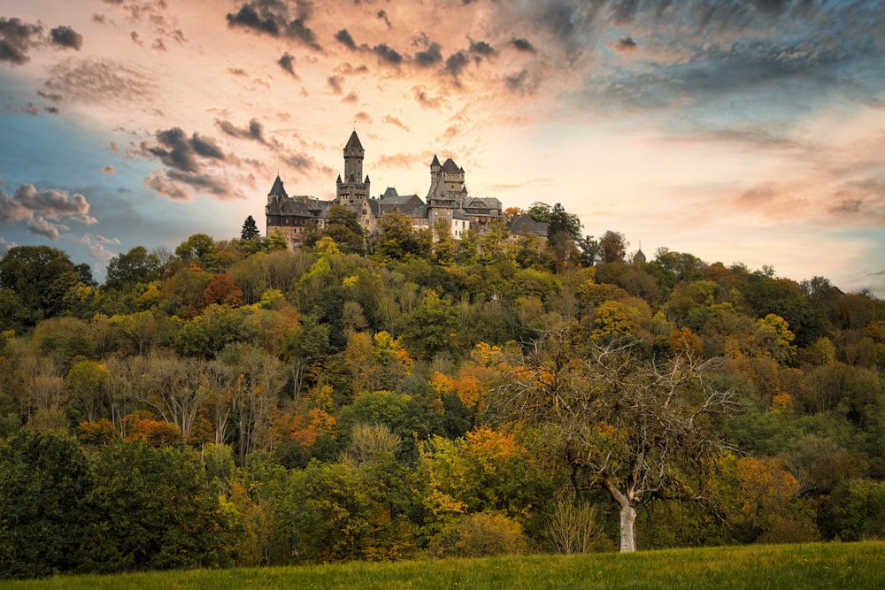 Un château au sommet d’une colline entourée d’arbres