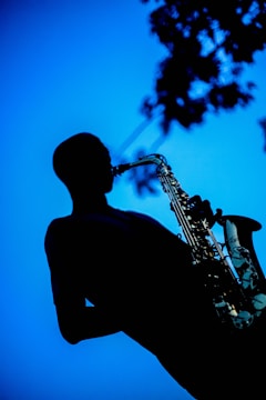 A silhouette of a person playing a saxophone against a bright blue sky. The details of the saxophone are visible, contrasting against the dark outline of the musician. Some tree branches appear in the background, adding depth to the scene.