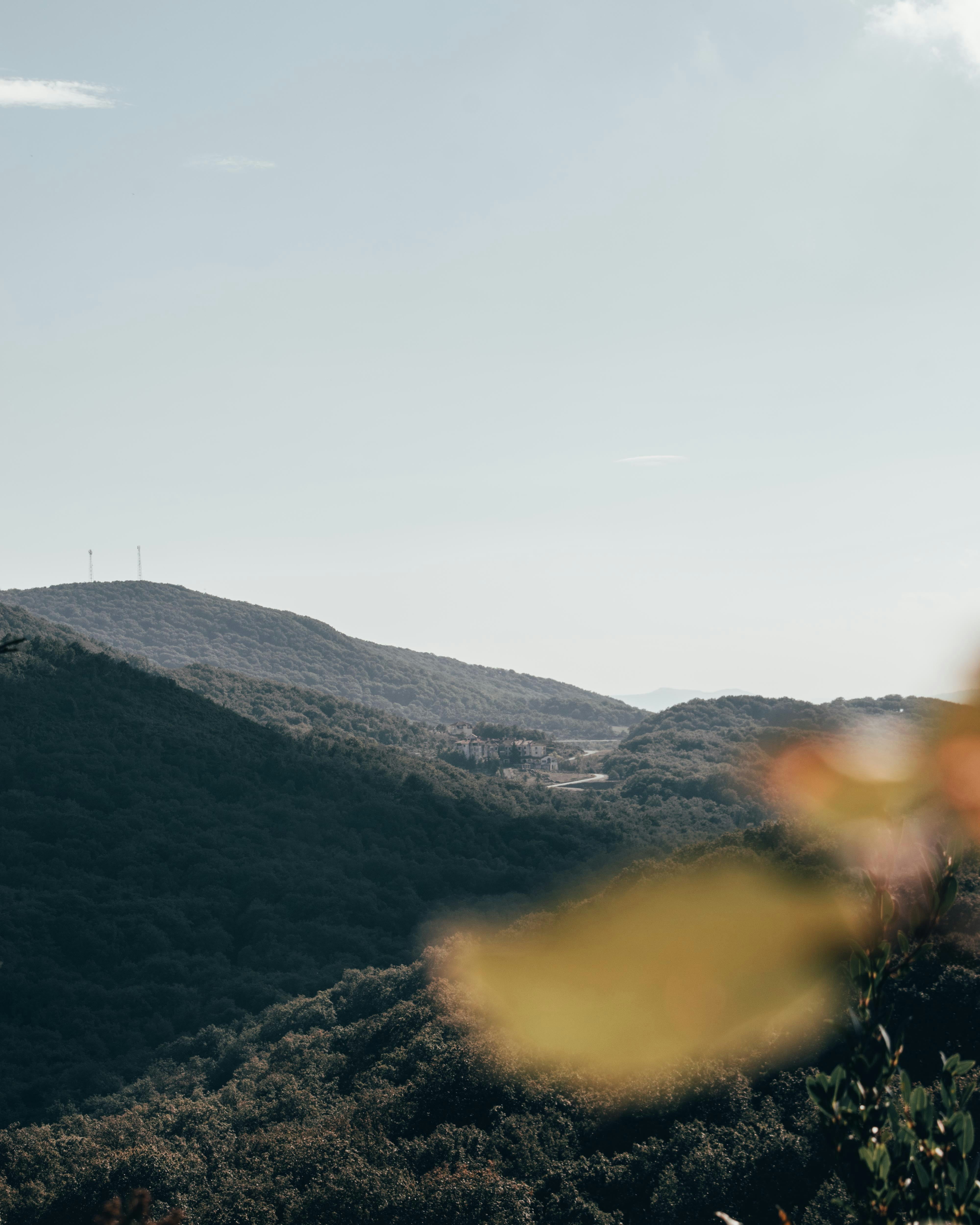 Photo by bilal_ayadi