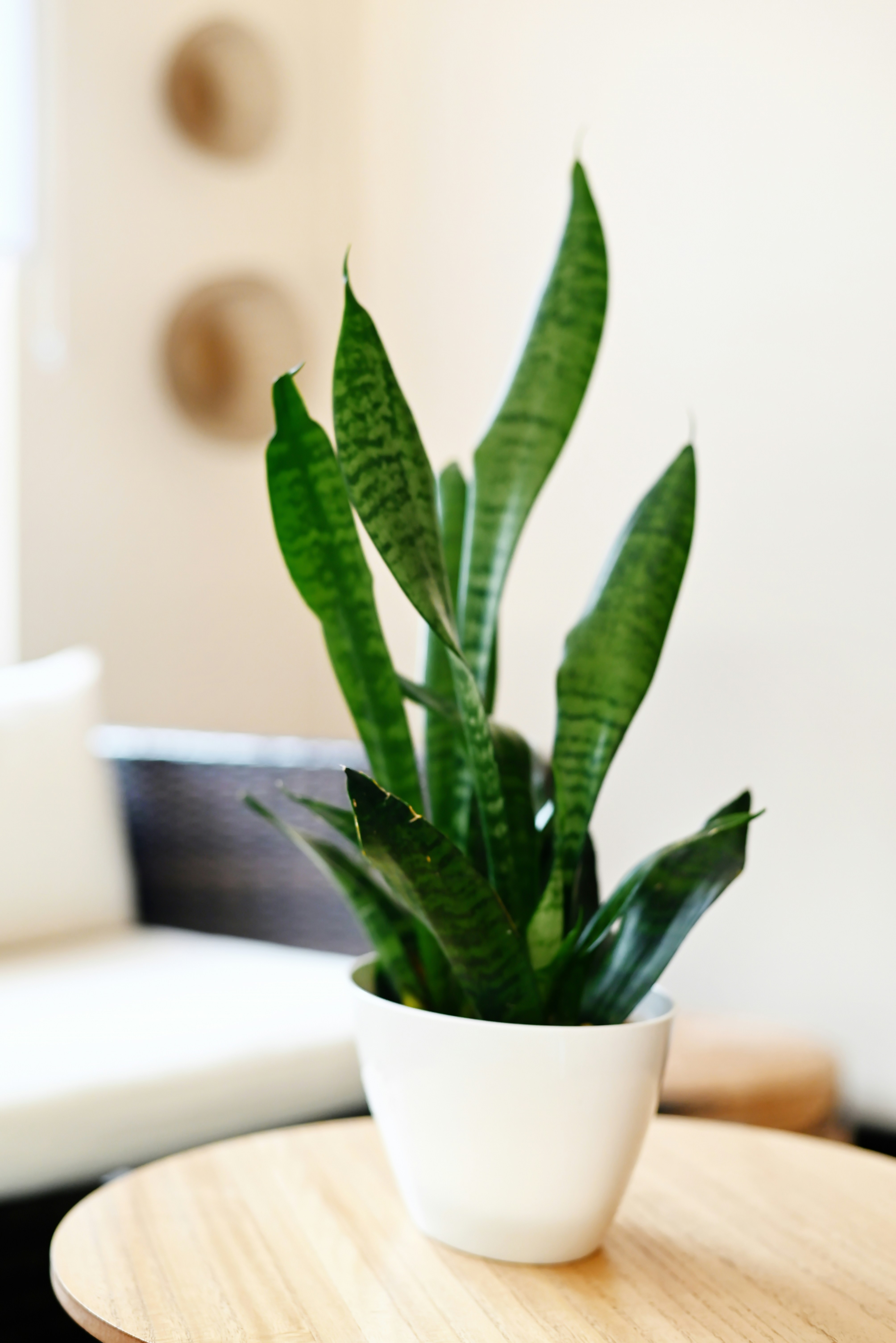 Photo by photosbychalo