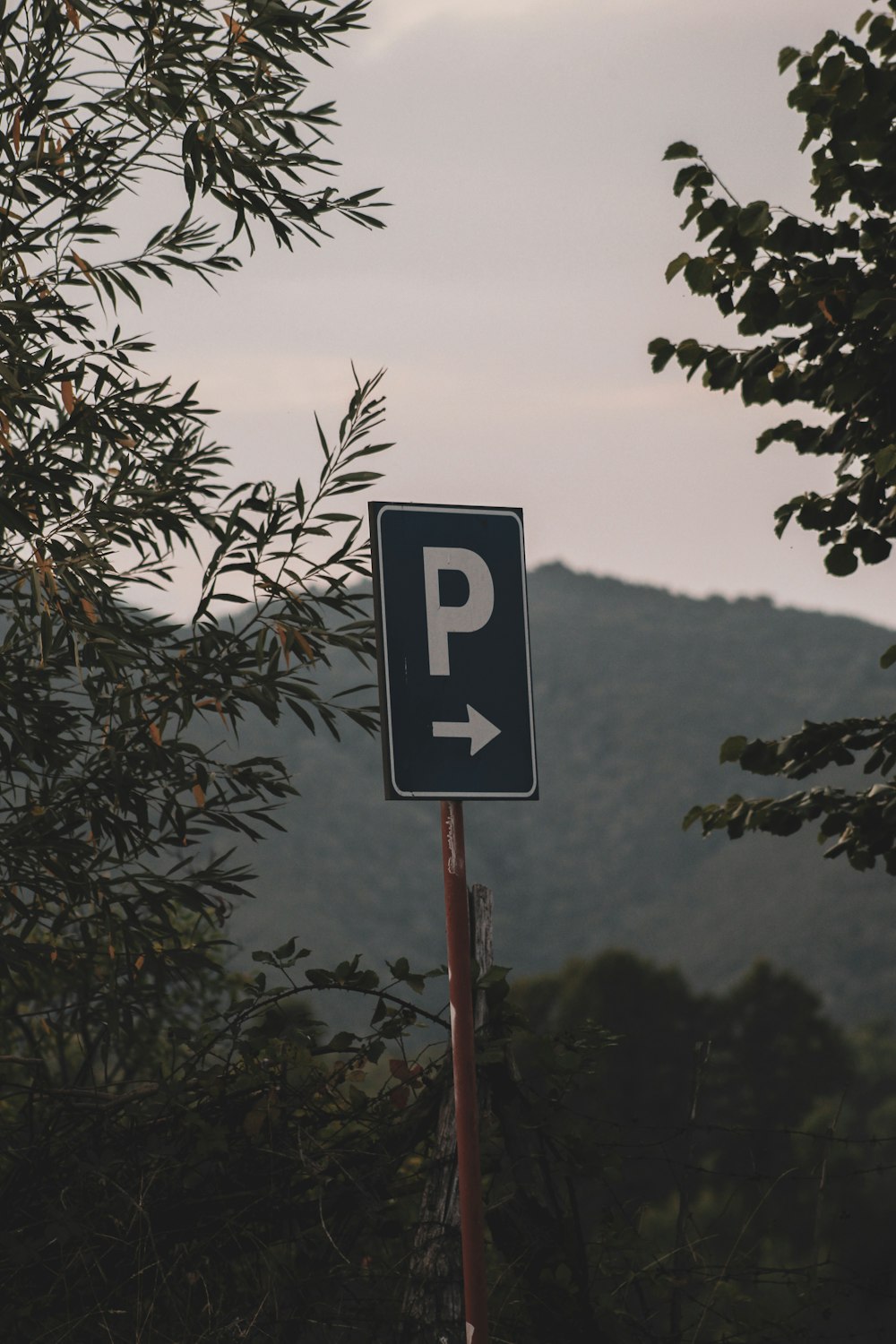 um sinal de estacionamento azul sentado ao lado de uma estrada