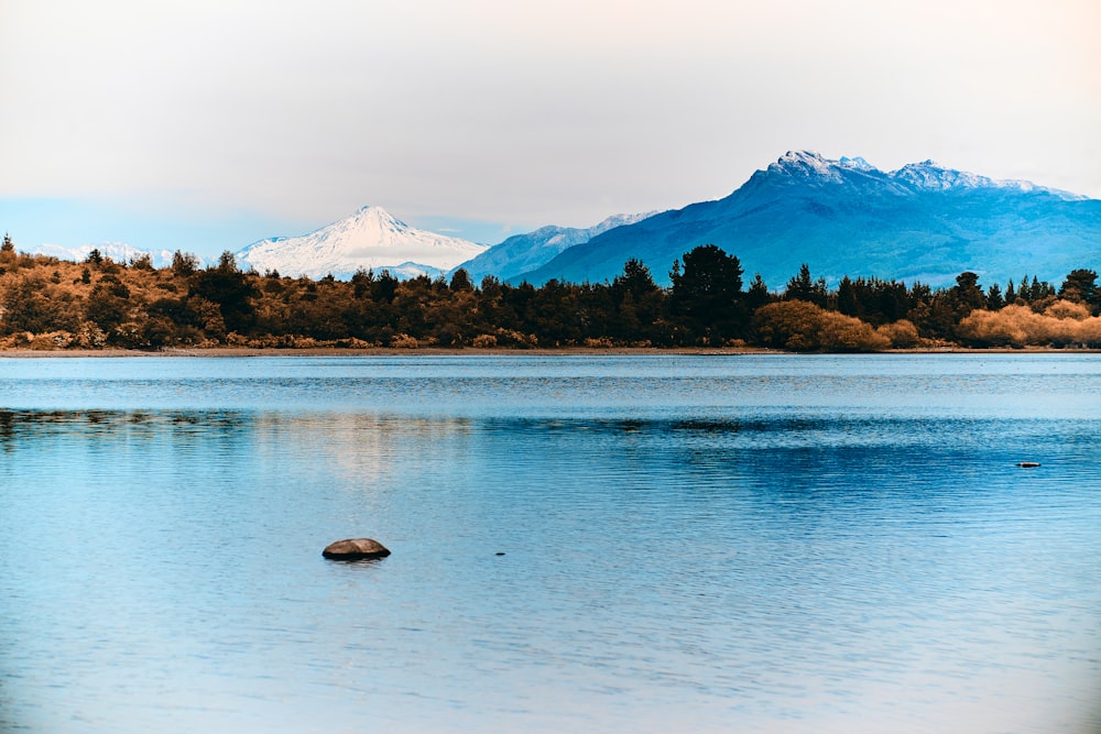 a large body of water with a mountain in the background