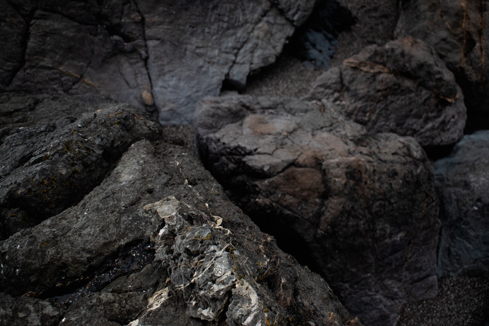 a bird is perched on a rock formation