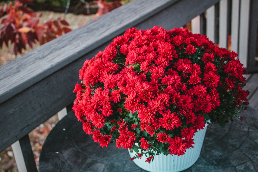 a white vase filled with red flowers on top of a table