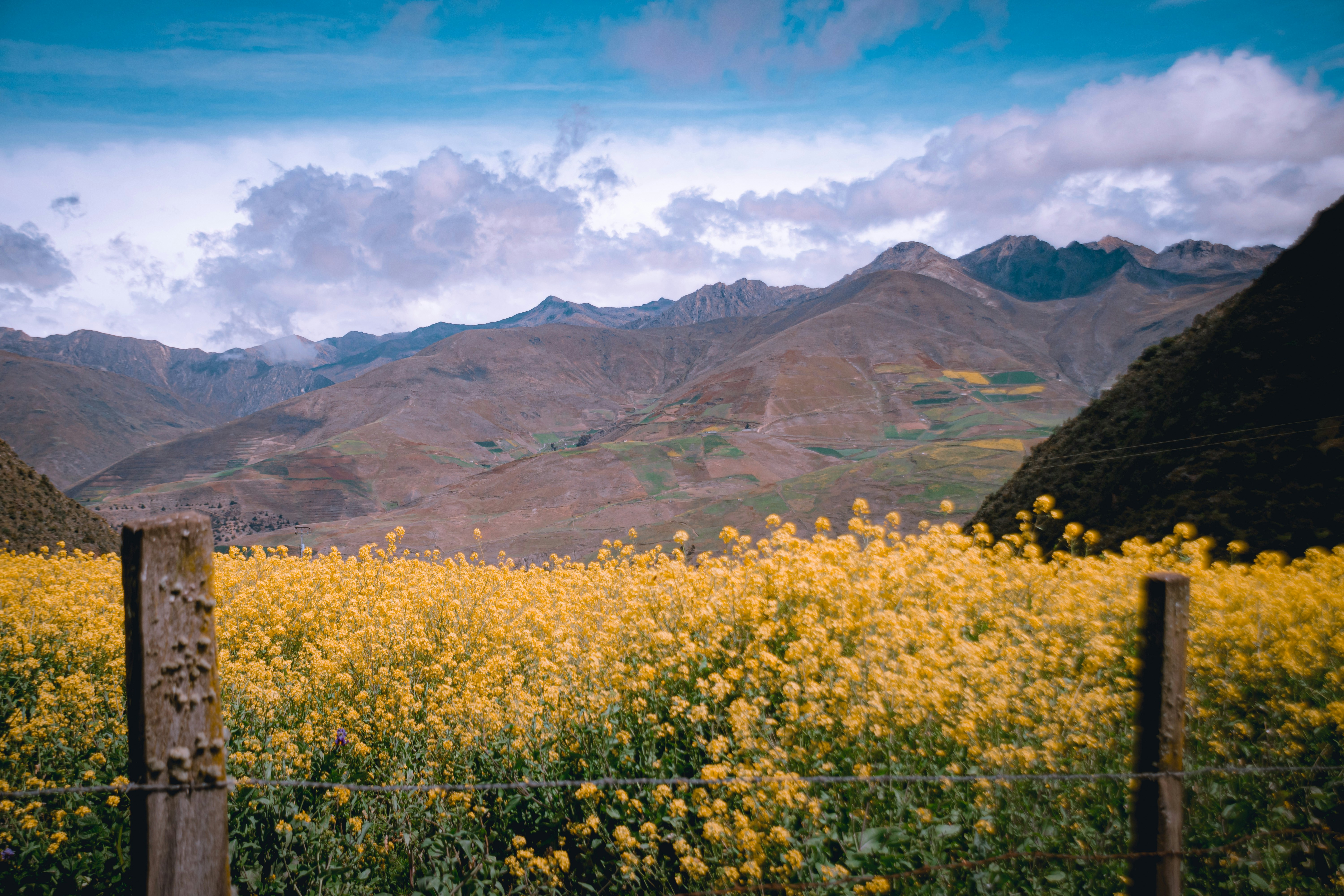 Merida, Venezuela - Camino de montaña 🏔