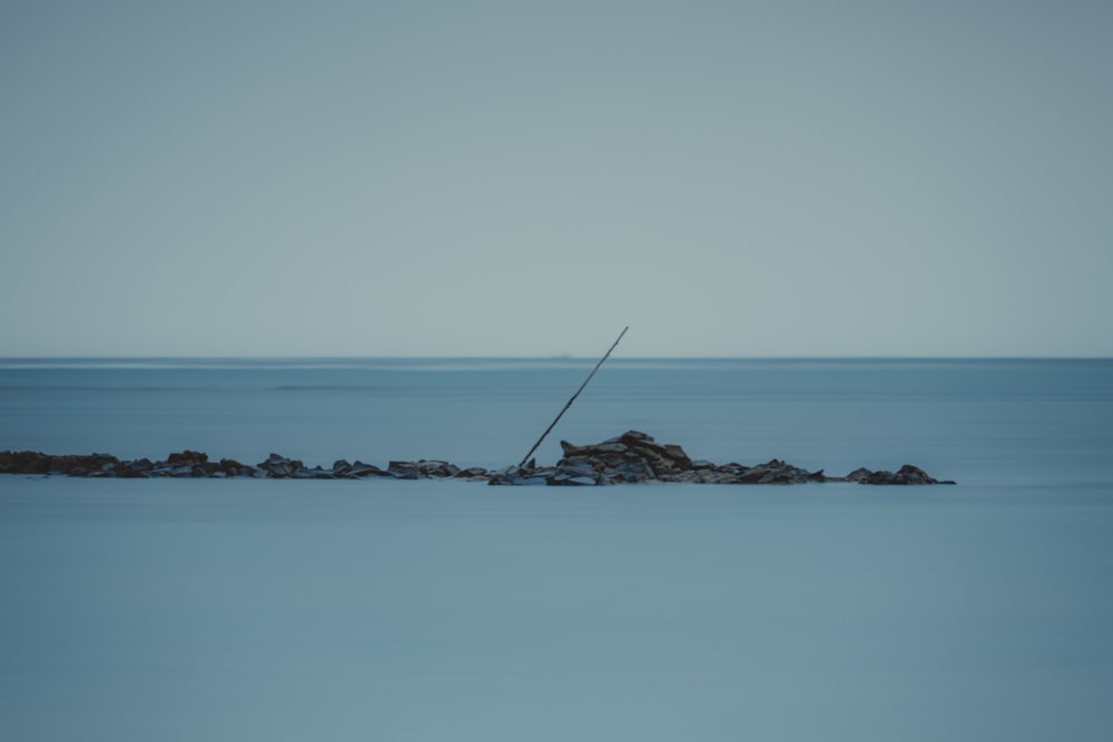 a fishing pole sticking out of the water