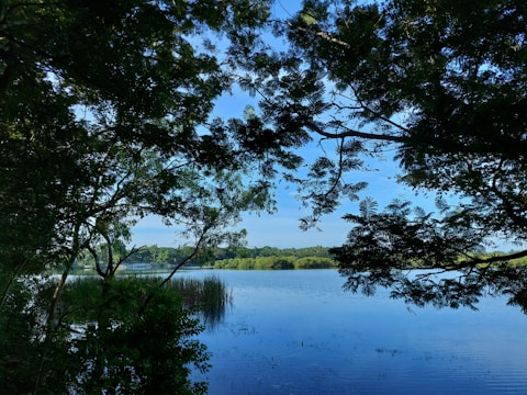 A serene view of a lake surrounded by lush greenery.