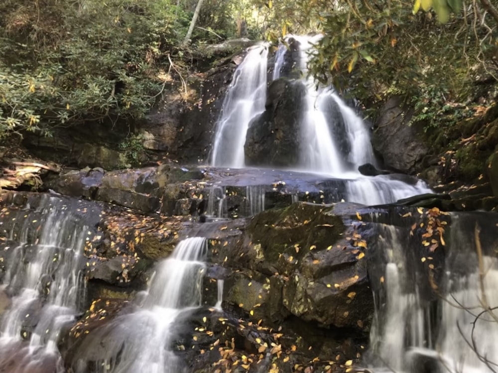 a waterfall in the middle of a forest