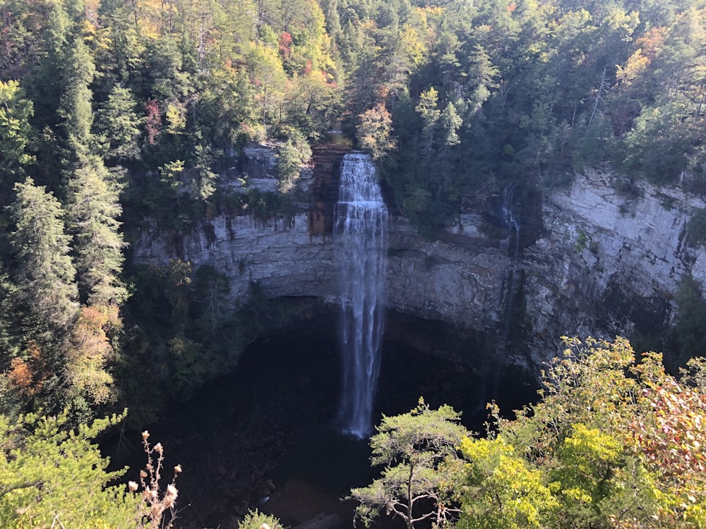 Una cascata nel mezzo di una foresta