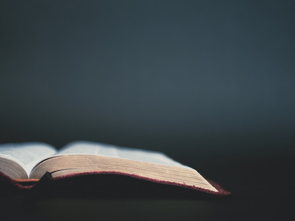 un livre ouvert posé sur une table