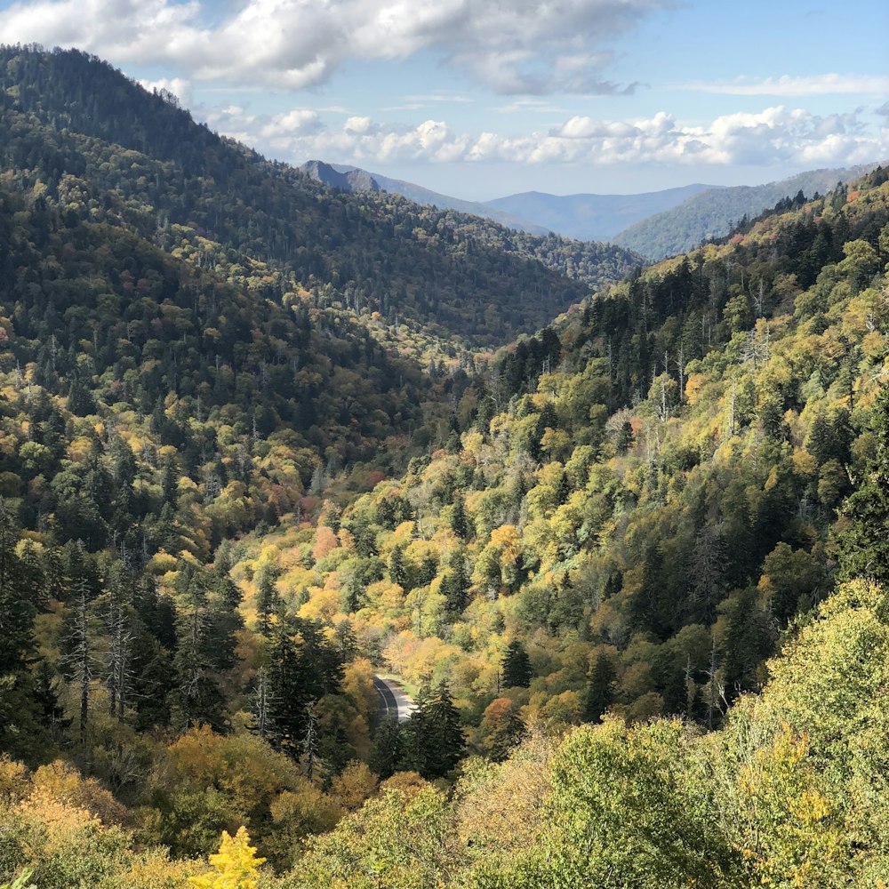 a scenic view of a valley in the mountains