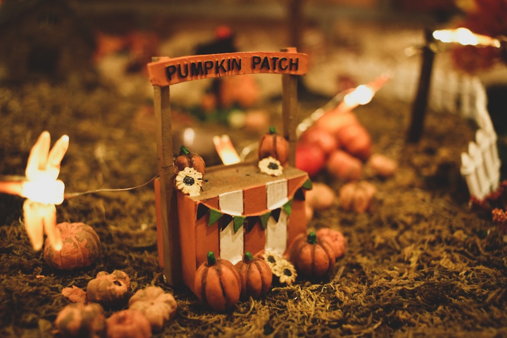 a pumpkin patch with a sign that says pumpkin patch