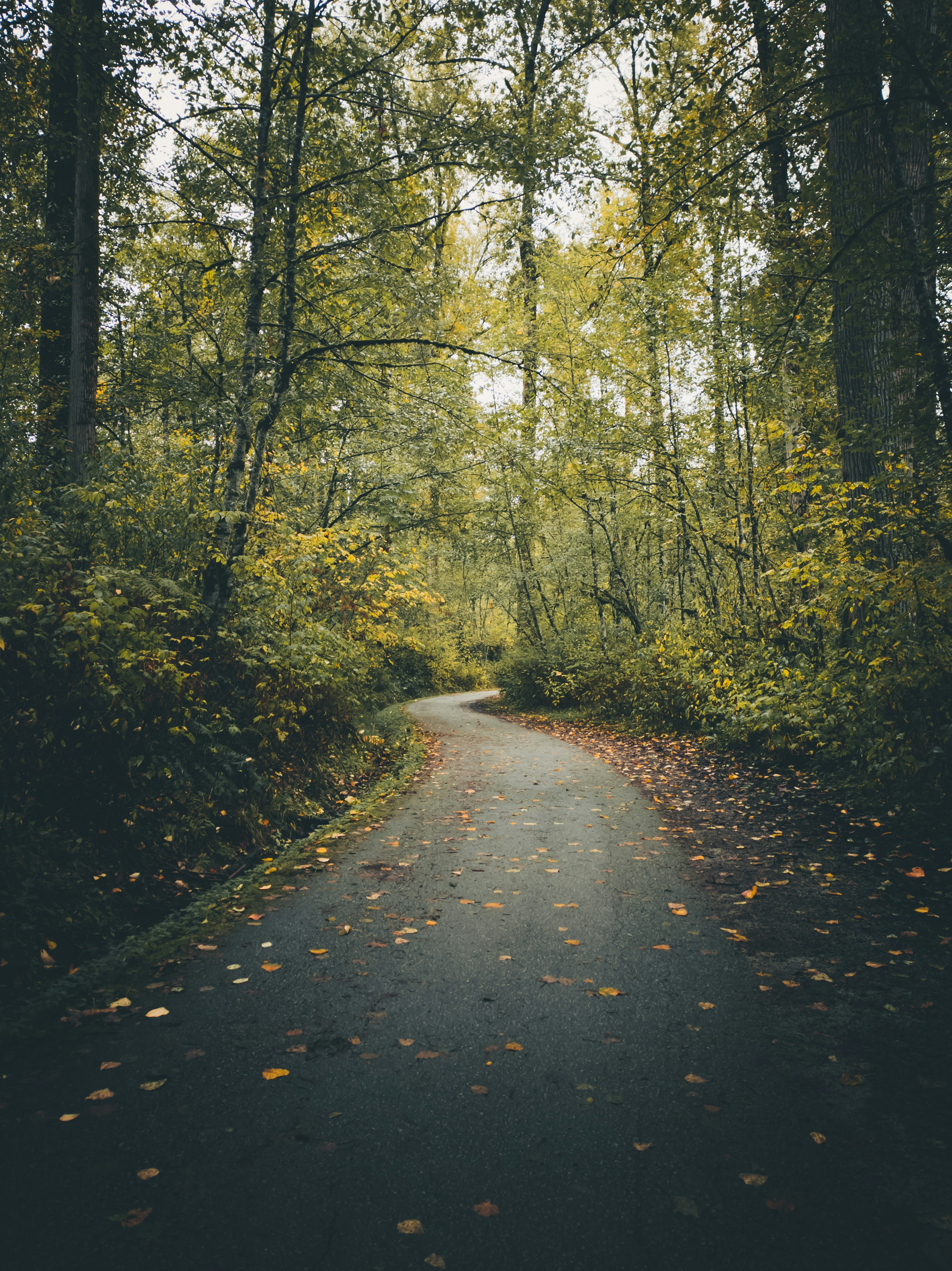 Photo by maybe_harpreet