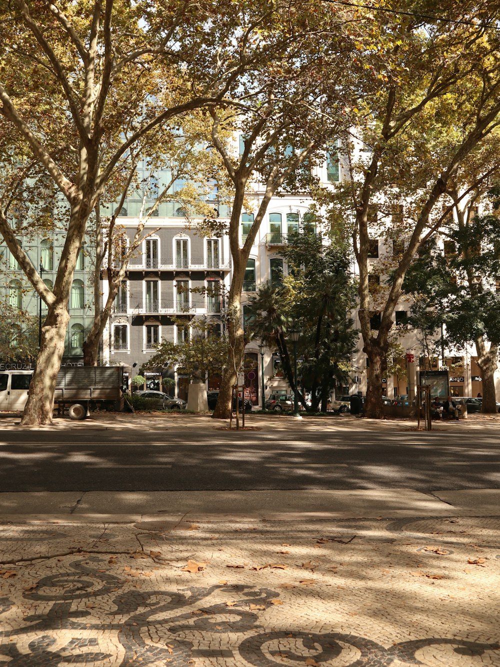 a tree lined street with a building in the background