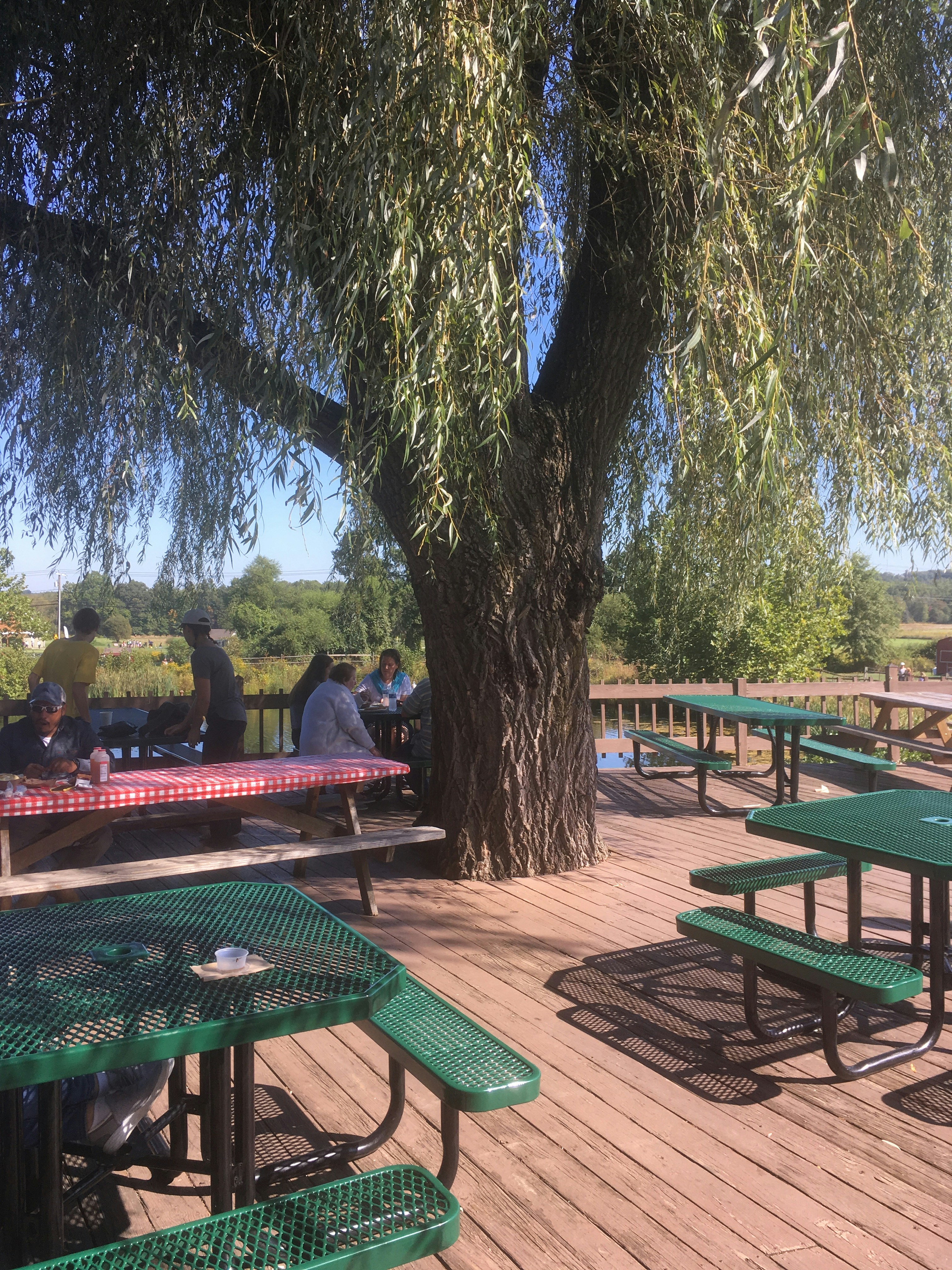 What Are The Options For Exploring Local Farms, Orchards, Or Agricultural Sites?