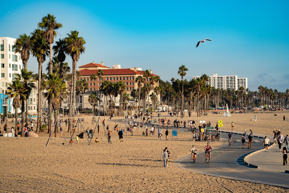 a group of people walking on a beach next to palm trees