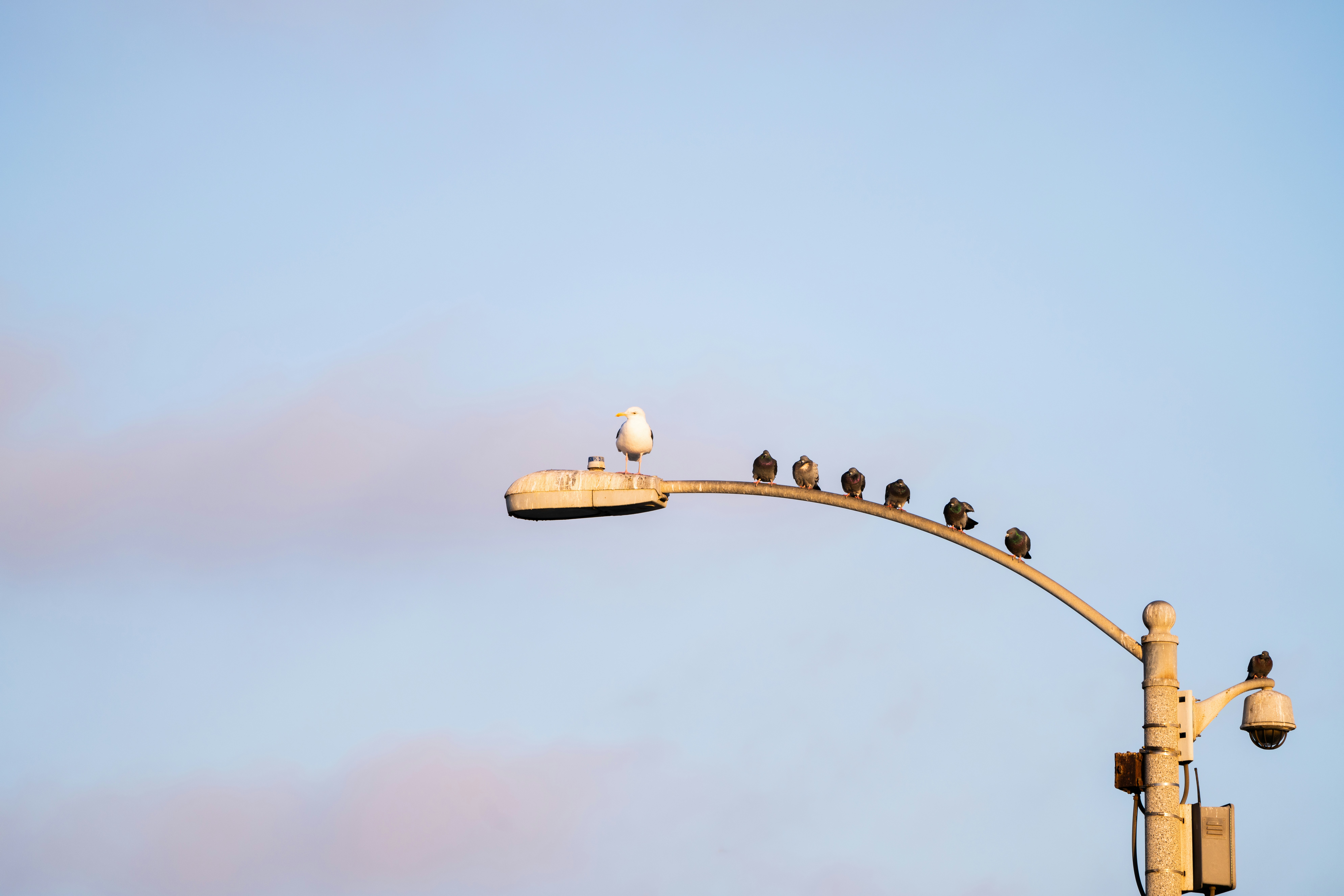 Photo by oksdesign