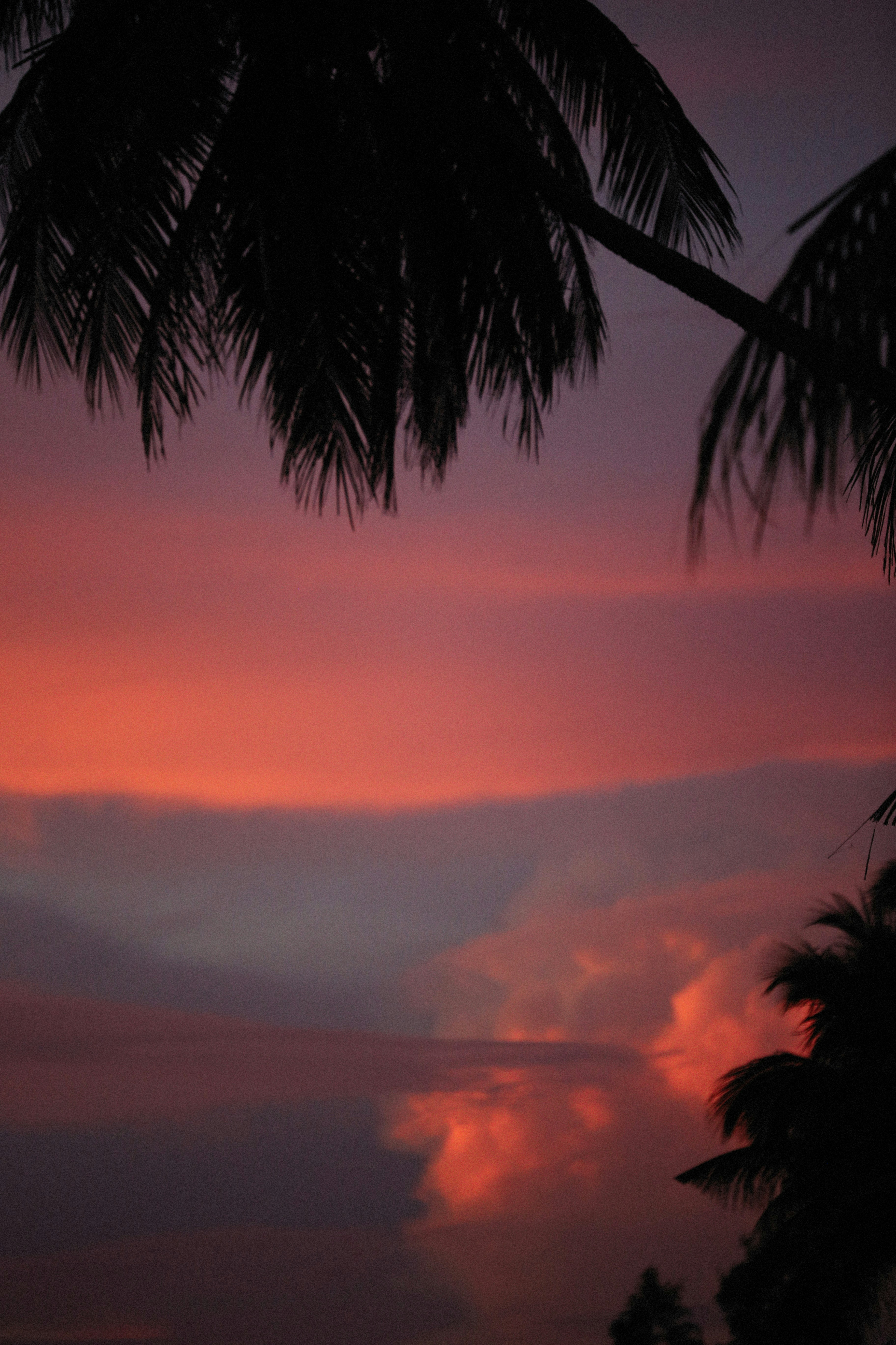 Photo by alexeydemidov