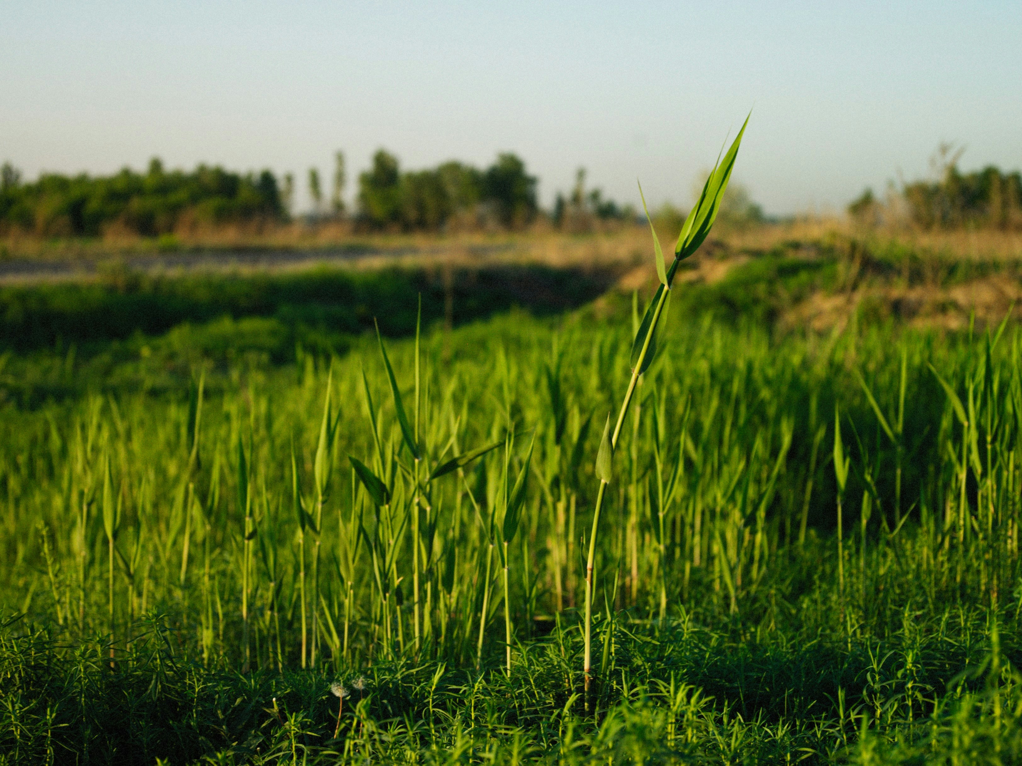 Photo by alexeydemidov