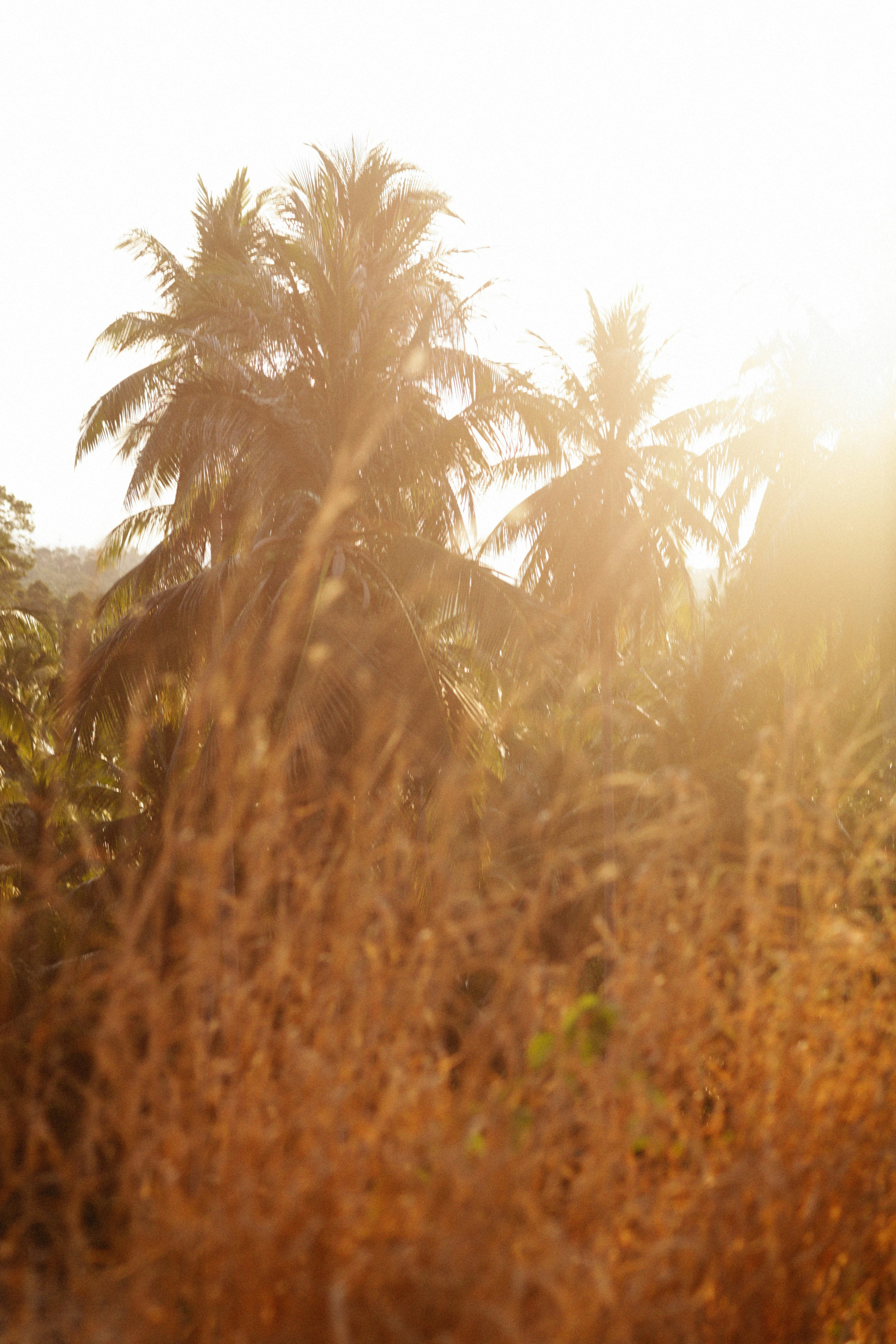 Photo by alexeydemidov