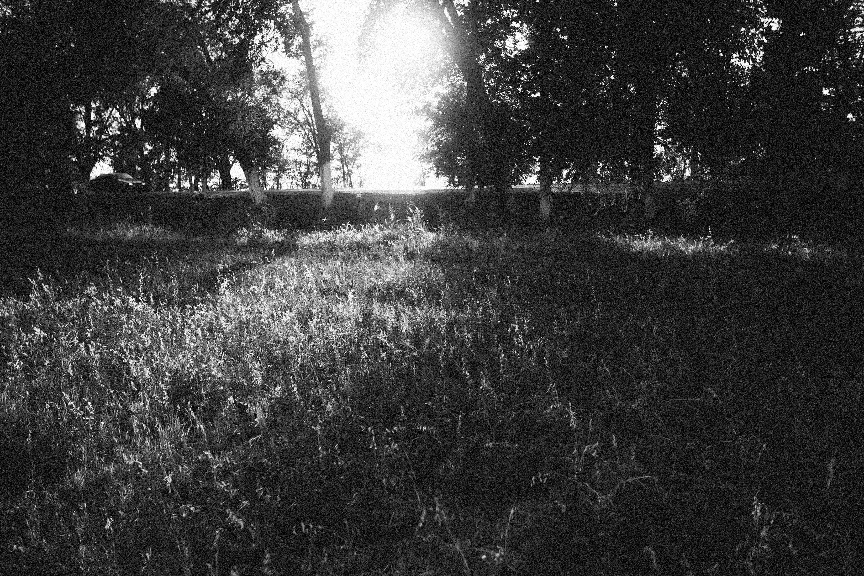 Photo by alexeydemidov