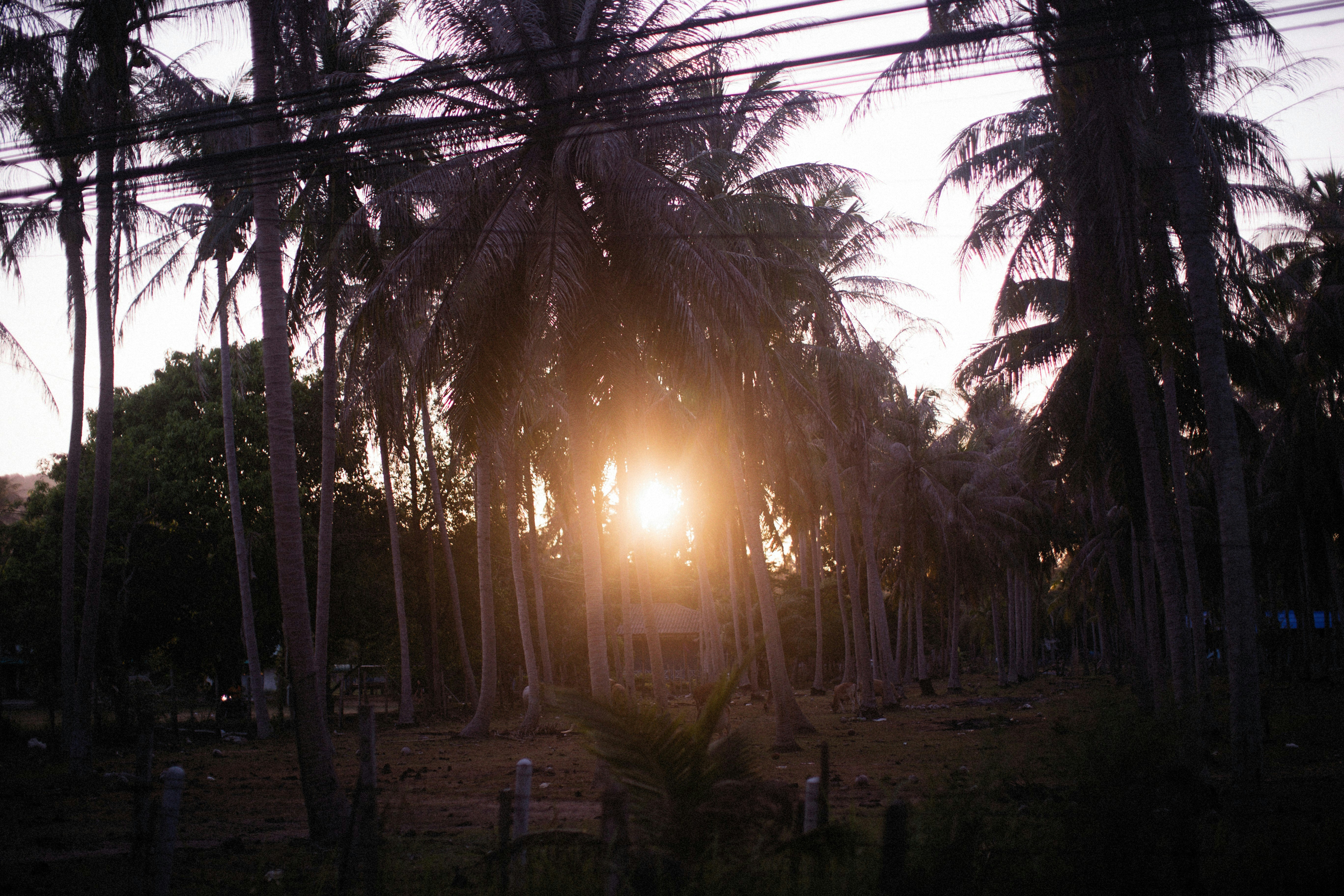 Photo by alexeydemidov