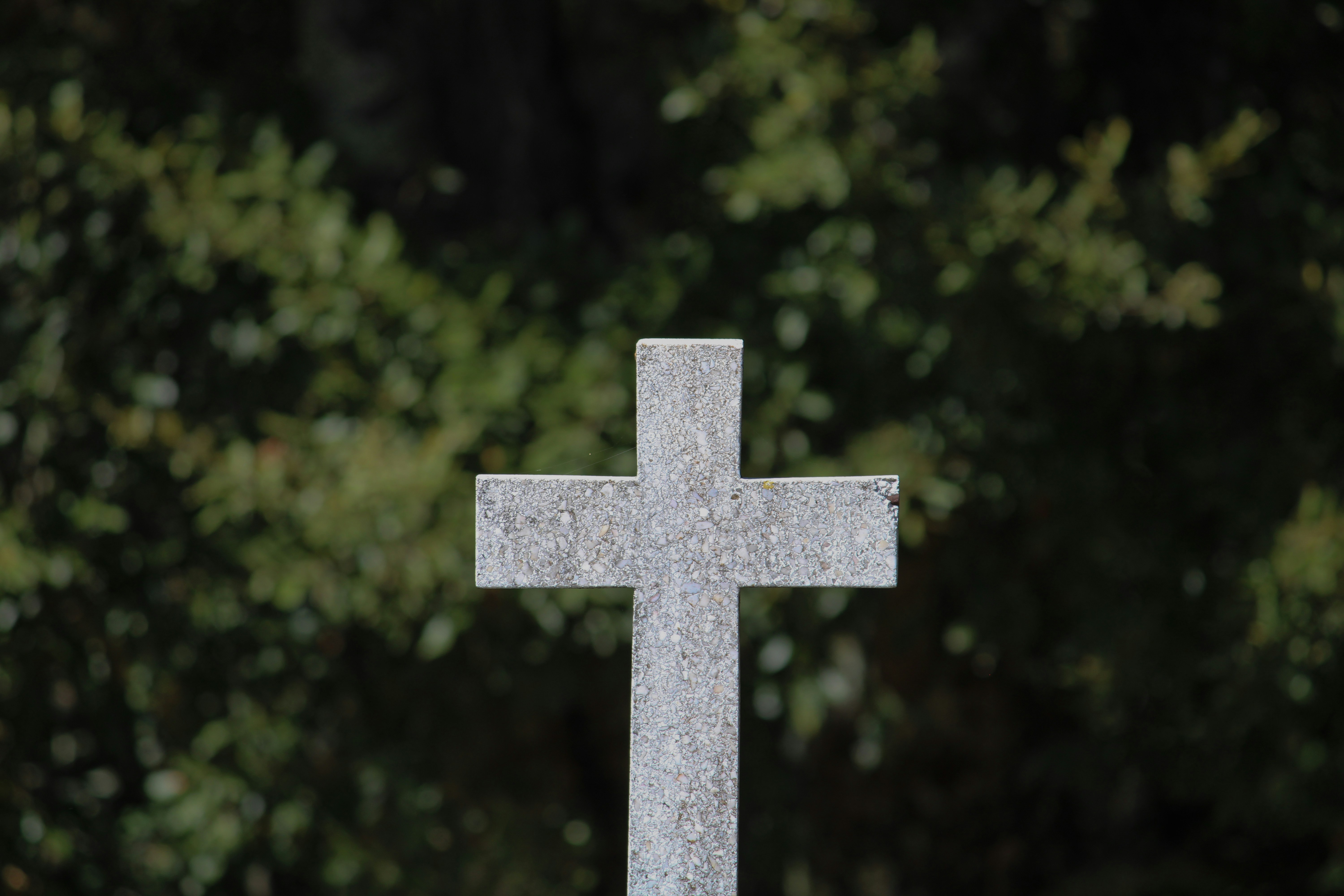 Photo by gaeljimenez_29