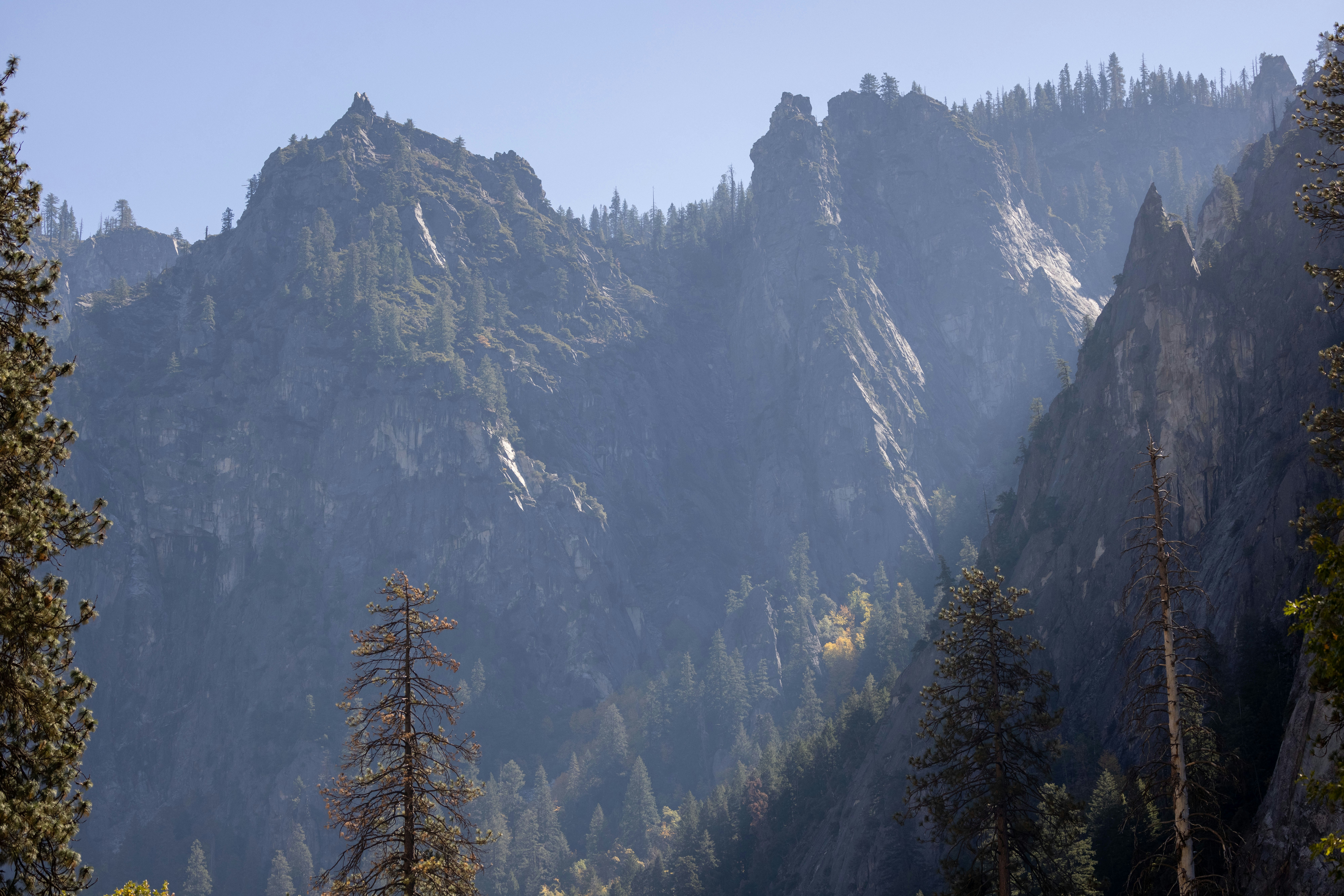 Photo by leo_visions_