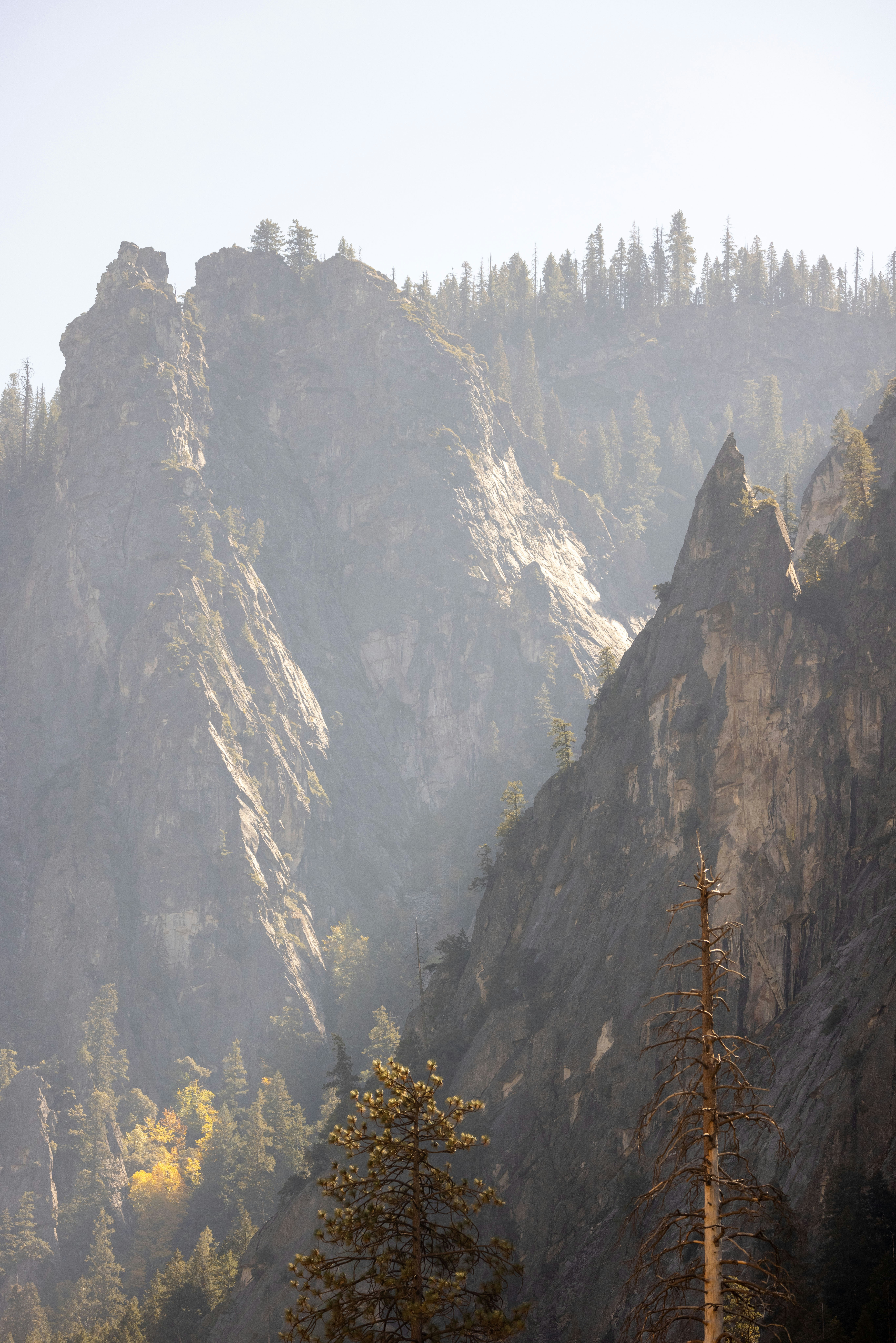 Photo by leo_visions_