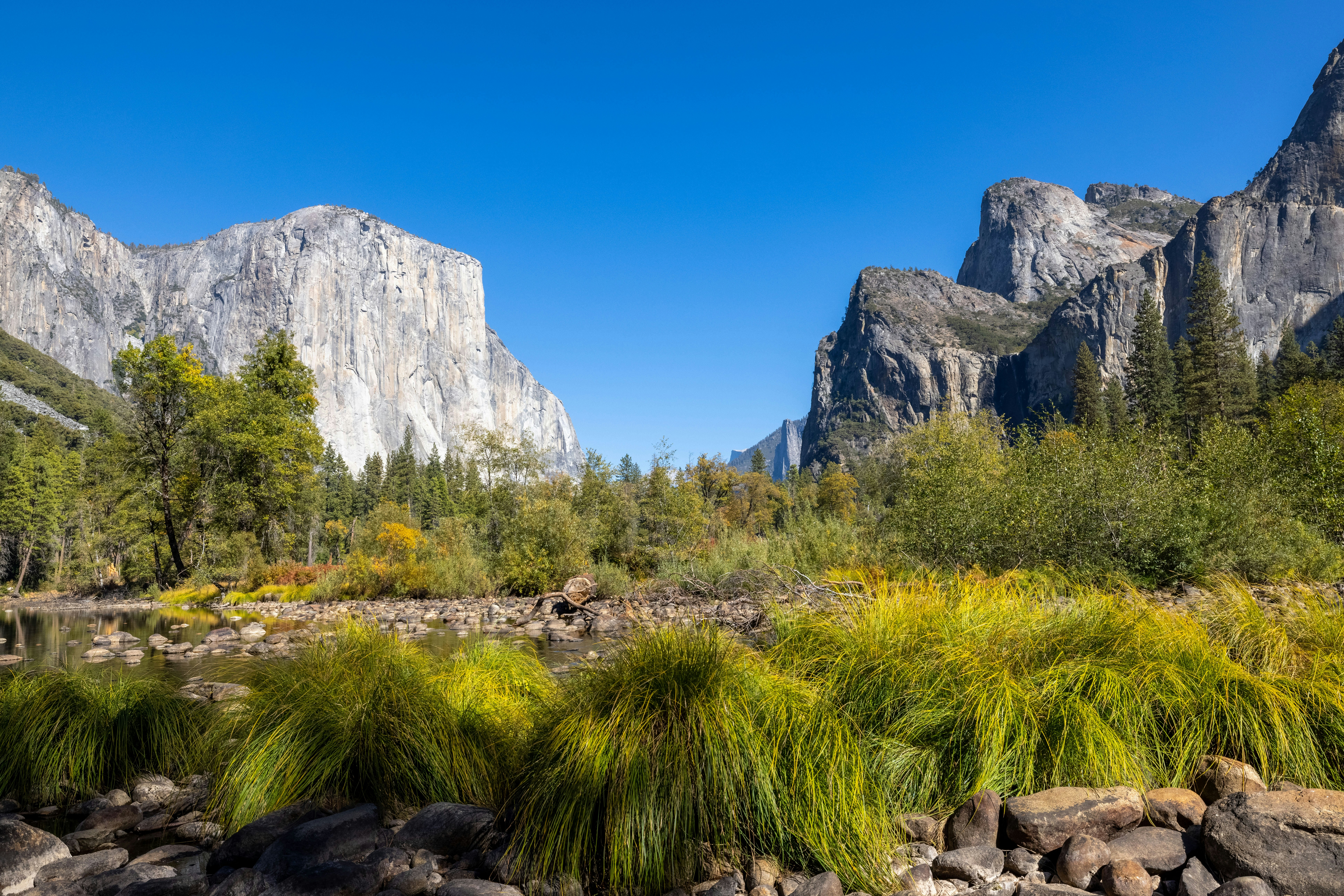 Photo by leo_visions_