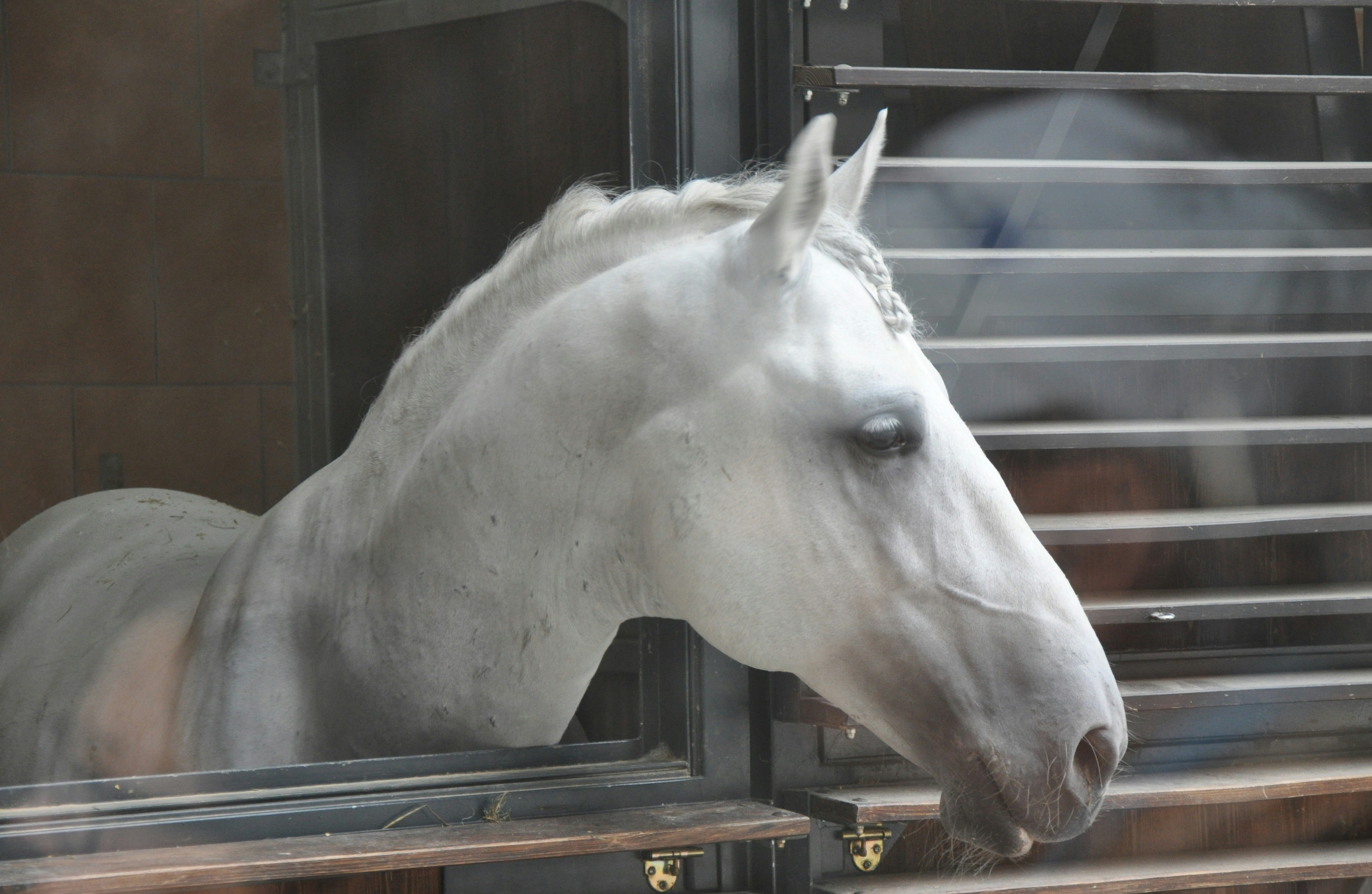 Photo by photogangsters