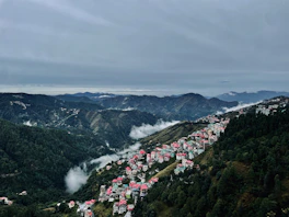 explore Shimla with Pearl Elite Tours