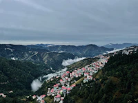 Best Wine Bars in Shimla for an Unhurried Evening Glass