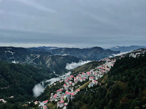 Shimla
