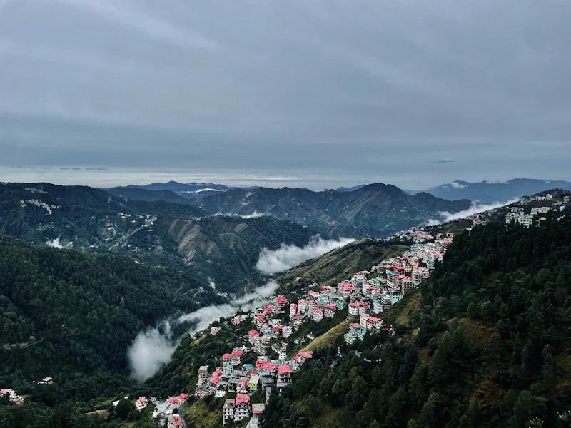 Best Wine Bars in Shimla for an Unhurried Evening Glass