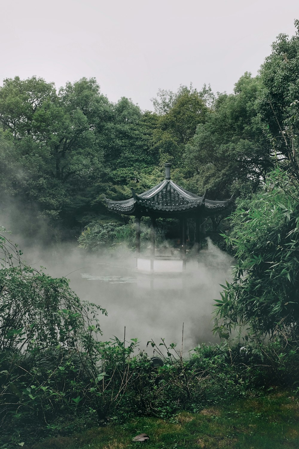 a gazebo in the middle of a foggy forest
