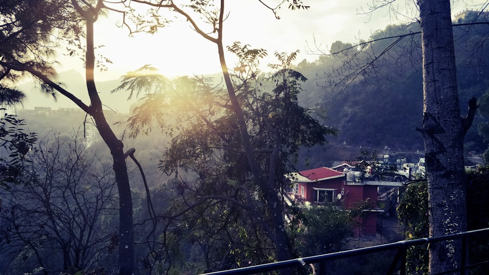 the sun shines through the trees in the mountains