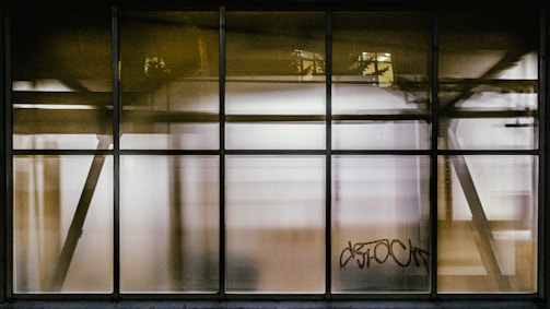 A series of frosted glass panels divided by a grid of metal frames. The glass is partially opaque, revealing blurred shapes and shadows behind. There is graffiti on one panel.