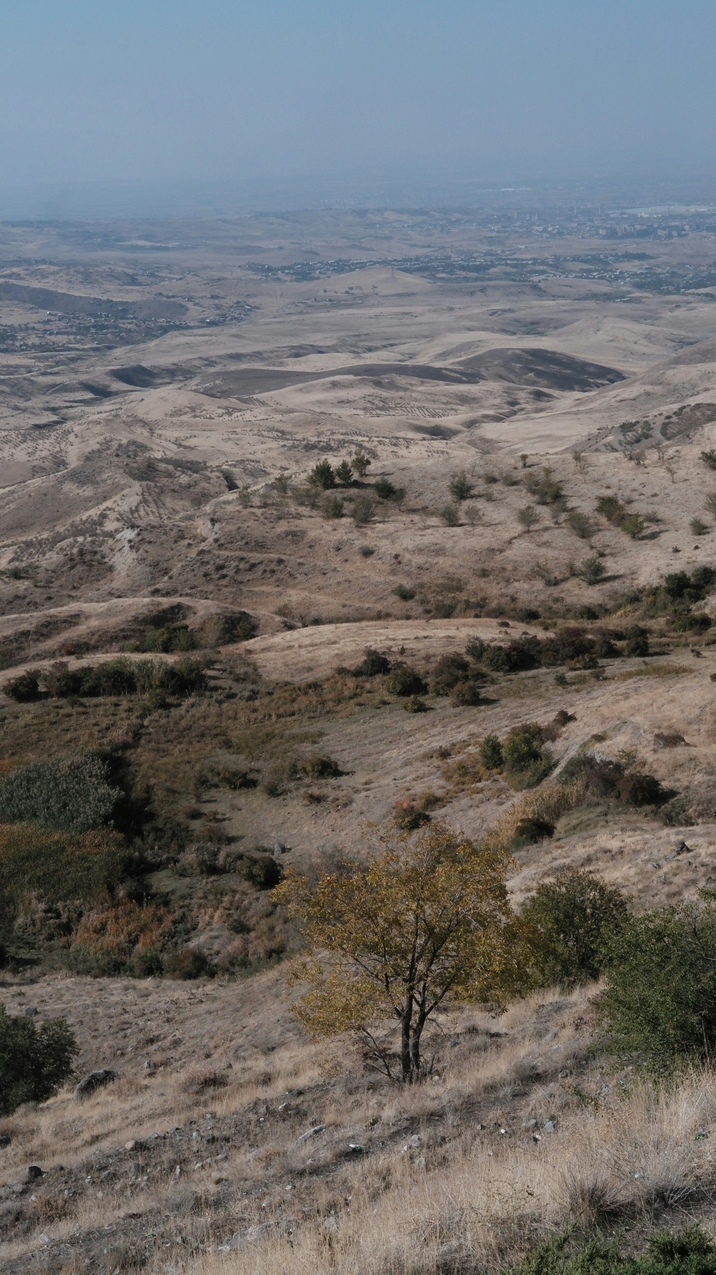 Photo by mary_borysova