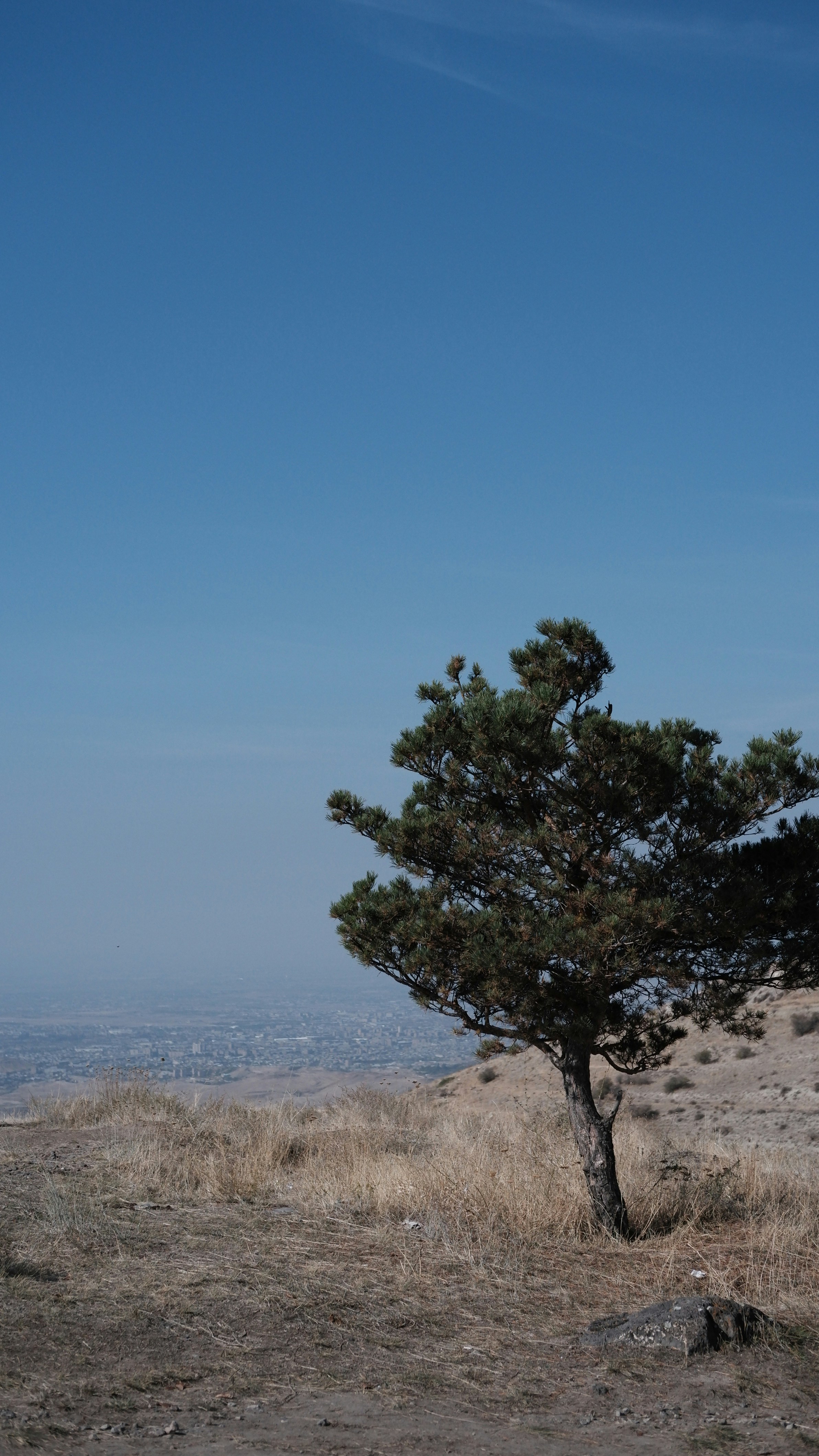 Photo by mary_borysova