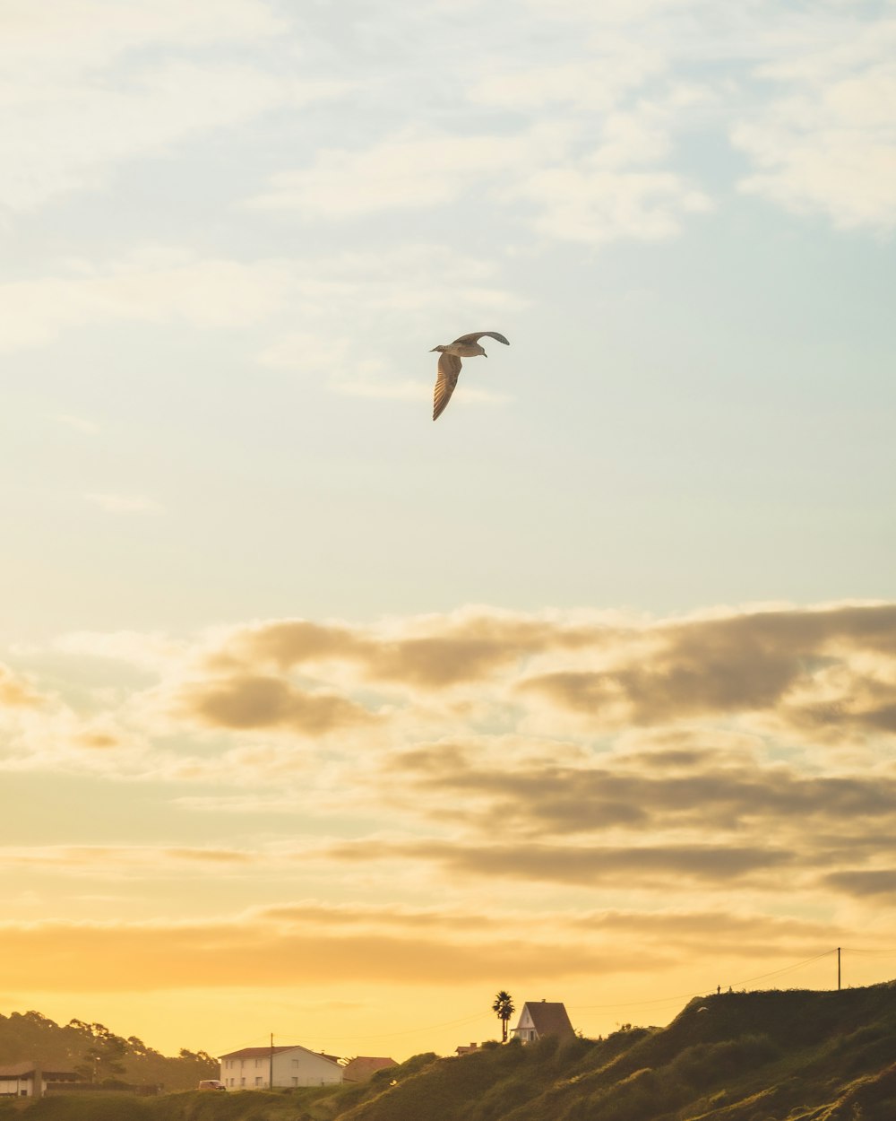 a bird flying in the sky over a hill