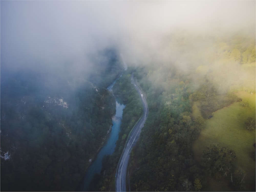 a river running through a lush green forest