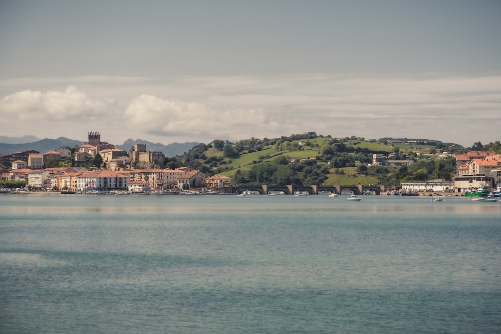 a body of water with houses on a hill in the background