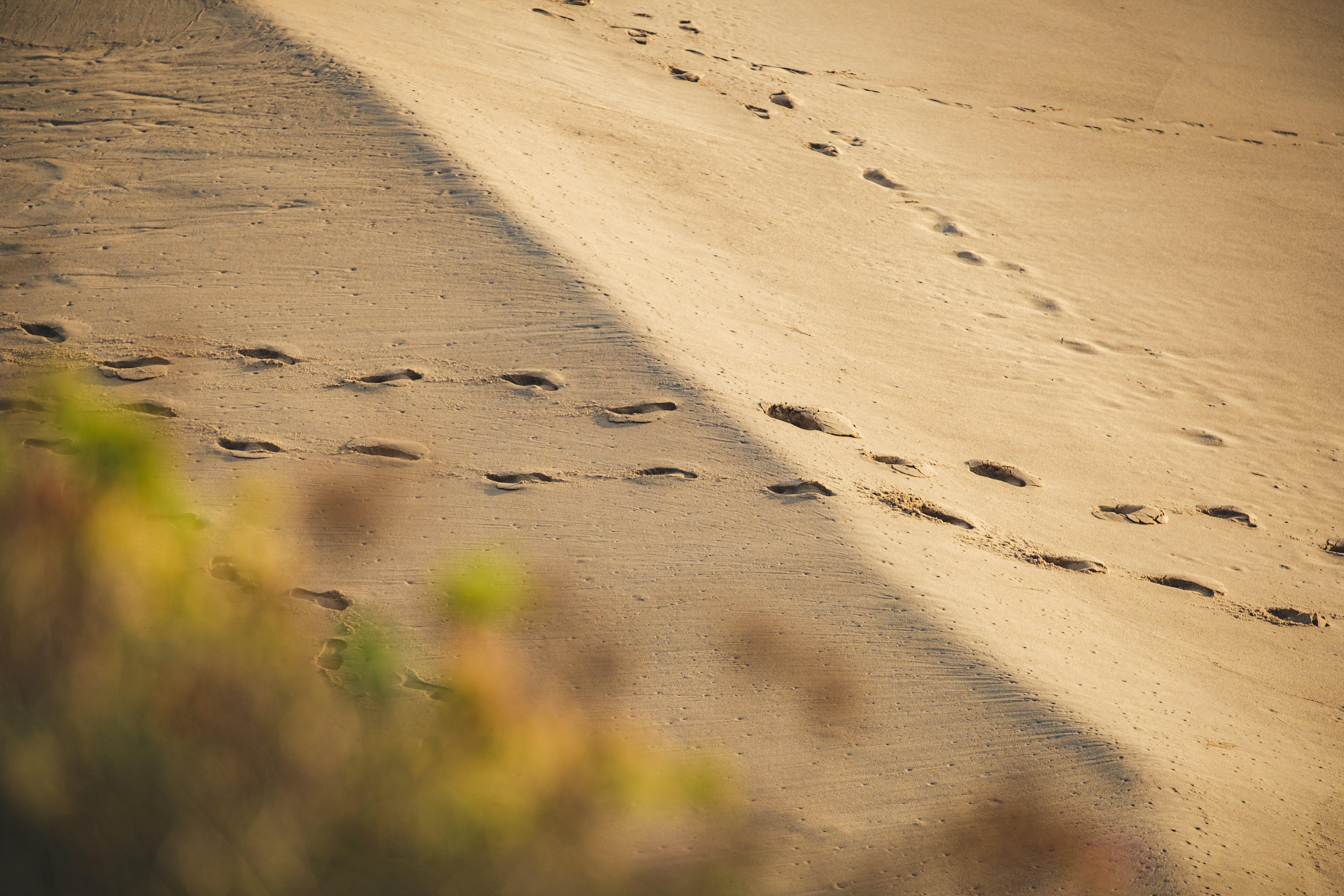 a person walking on a beach with footprints in the sand