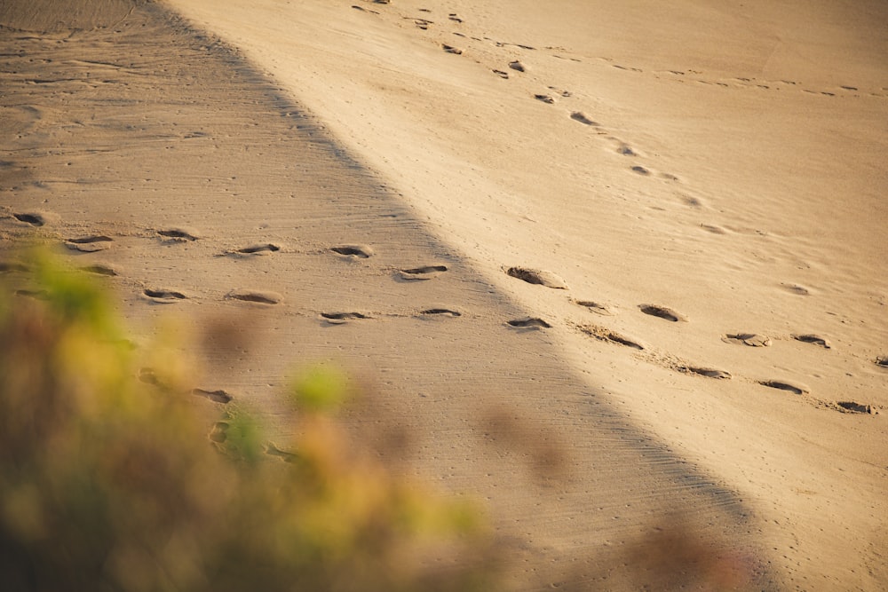 a person walking on a beach with footprints in the sand